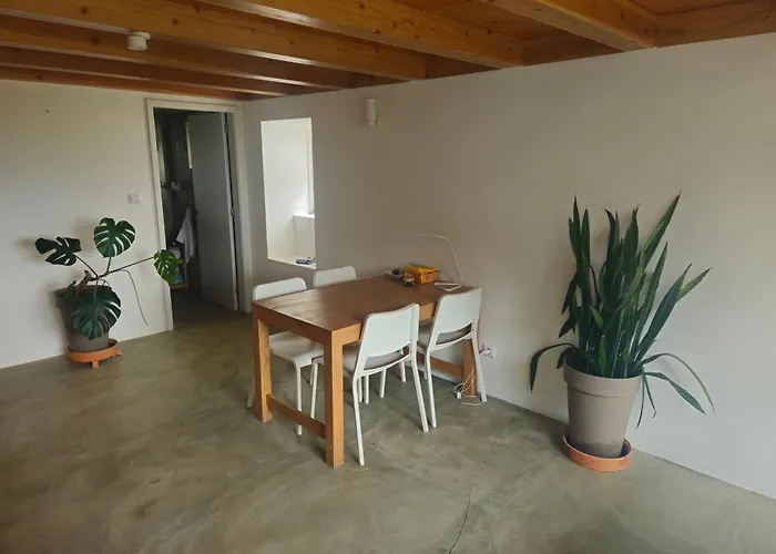 T1 Com Vista Mar Em Requinte * São Roque do Pico